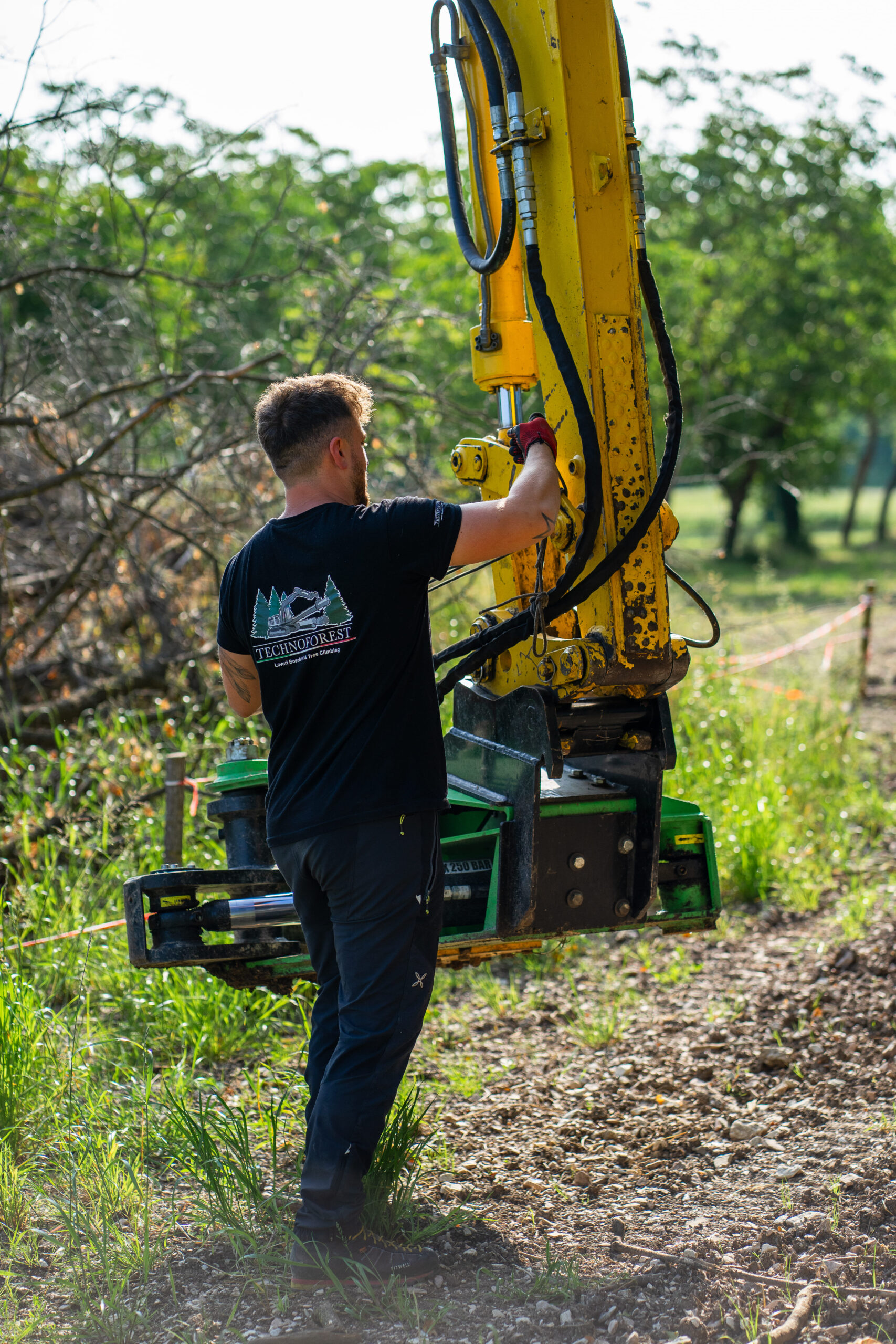 Technoforest abbattimenti alberi