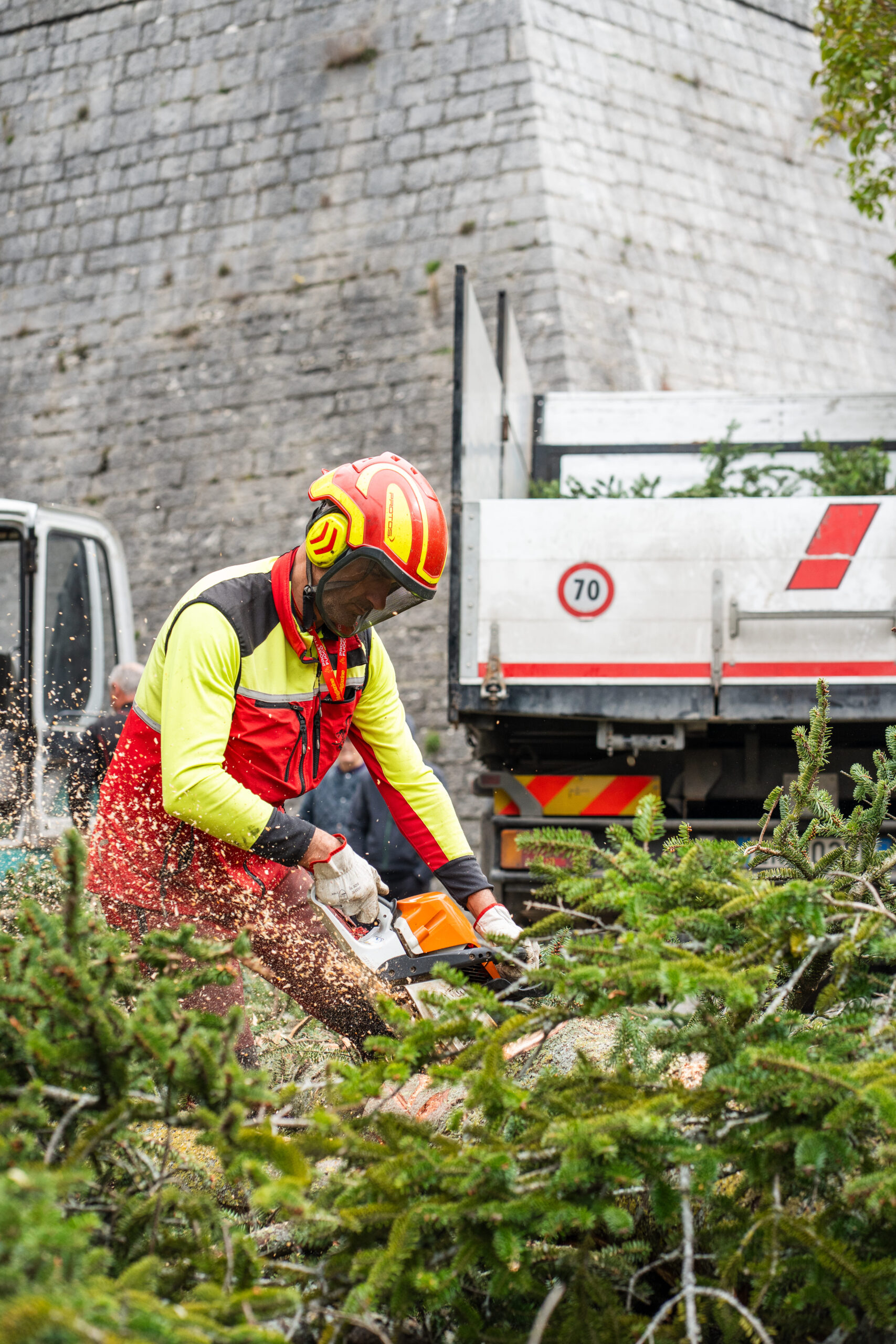 Abbattimento albero con utilizzo di macchinari forestali