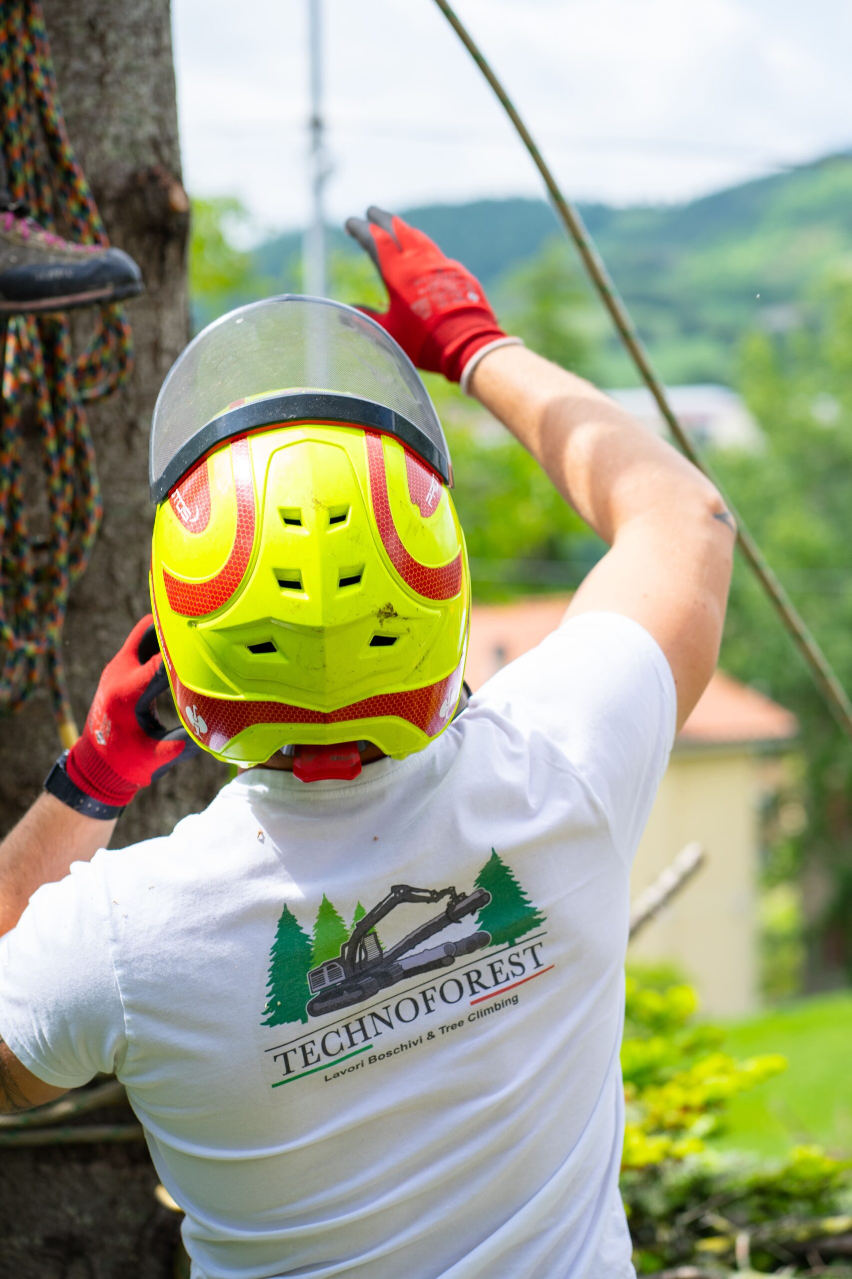 Intervento di abbattimento alberi nell’ambito di servizi forestali in Umbria e Marche