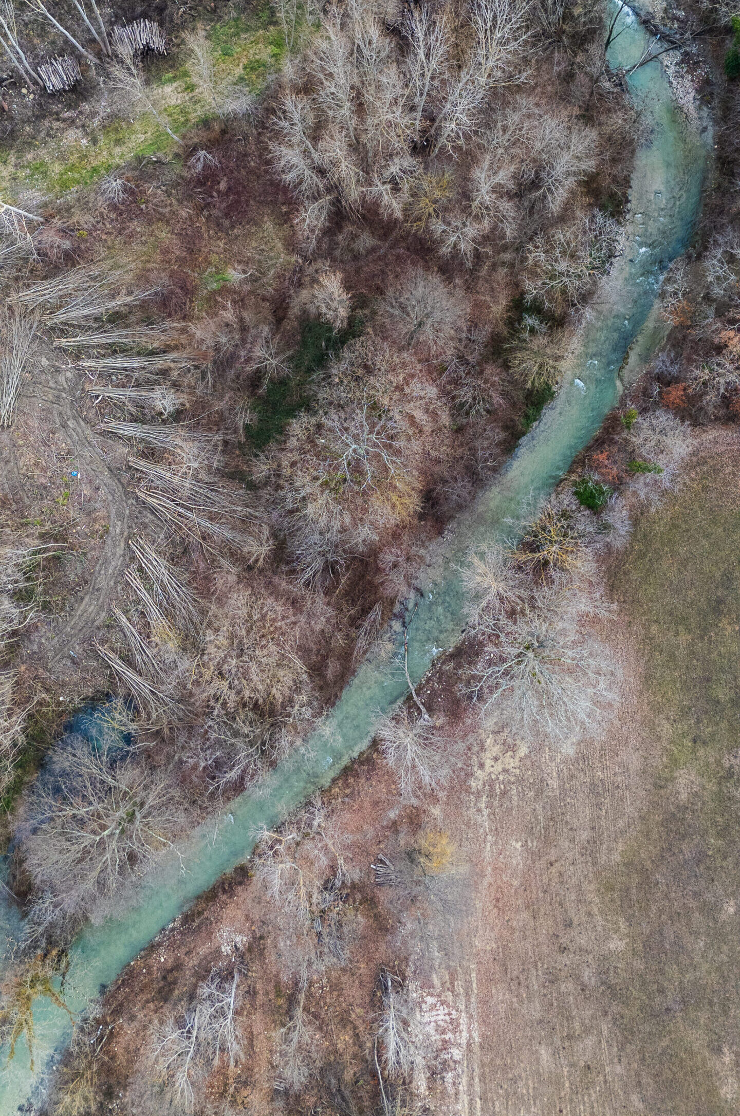 Lavori di manutenzione su torrente per corretto deflusso dell’acqua