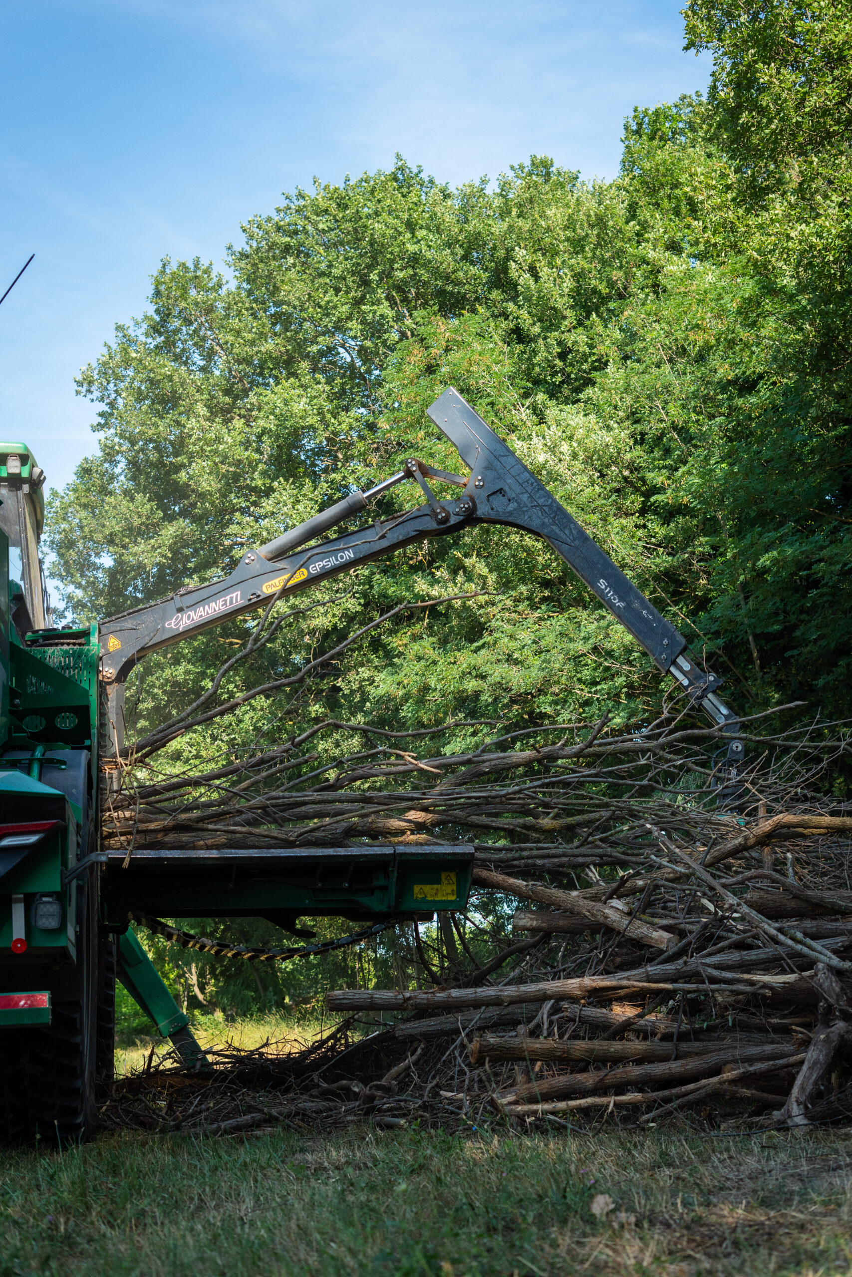 Produzione di cippato da legname derivante da interventi forestali