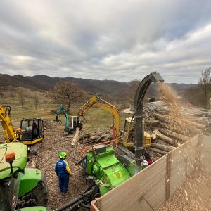 lavori_forestali_umbria